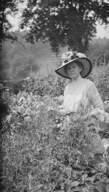 Tarbell, Ida, Miss, in her garden, 1912 or 1913. Creator: Arnold Genthe.