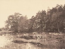 Marsh at Piat (Belle-Croix Plateau), c. 1863. Creator: Eugène Cuvelier.