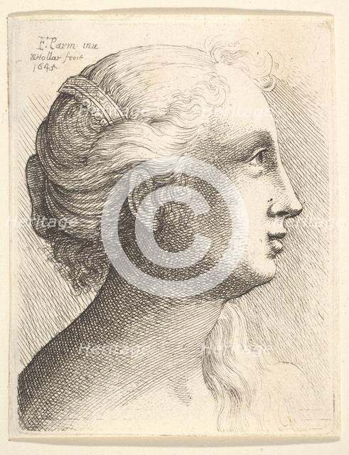 Head of a young woman in profile to right, 1645. Creator: Wenceslaus Hollar.
