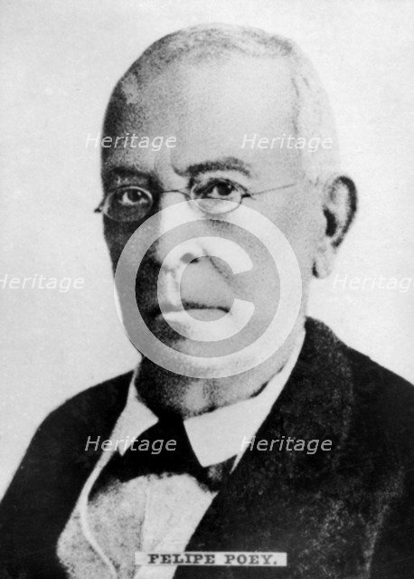 Felipe Poey (1799-1891), Cuban zoologist. Artist: Unknown