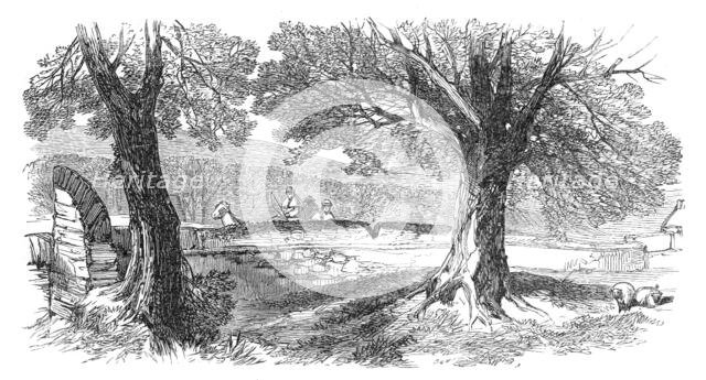 Sketches from Ireland: place where Mr. Nicholson was fired at, 1870. Creator: Unknown.