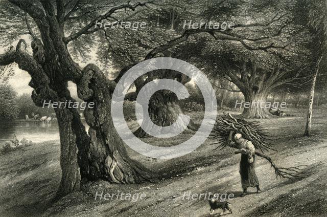 'At Burnham Beeches', c1870.