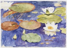 Water lilies in the water. Creator: Maria Wiik.