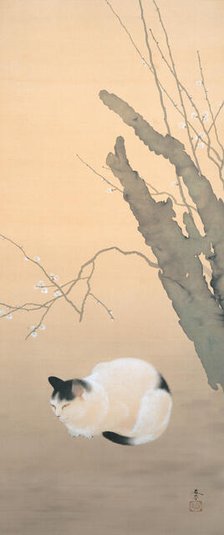 Cat and Plum Blossoms, 1906. Creator: Shunso, Hishida (1874-1911).