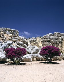 A megalithic temple complex, Ggantija, Gozo, Malta, 20th century.