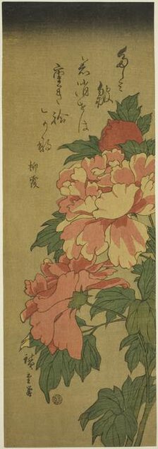 Peonies, c. 1843/47. Creator: Ando Hiroshige.