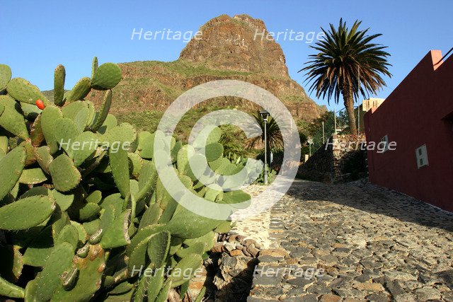 Cactus and street in Masca, Tenerife, Canary Islands, 2007.