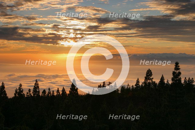 Parque Nacional del Teide, Tenerife, Canary Islands, 2007.