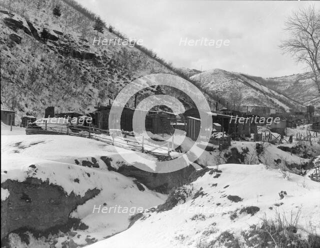 Utah coal miners' houses, Blue Blaze mine, Consumer, near Price, Utah., 1936. Creator: Dorothea Lange.