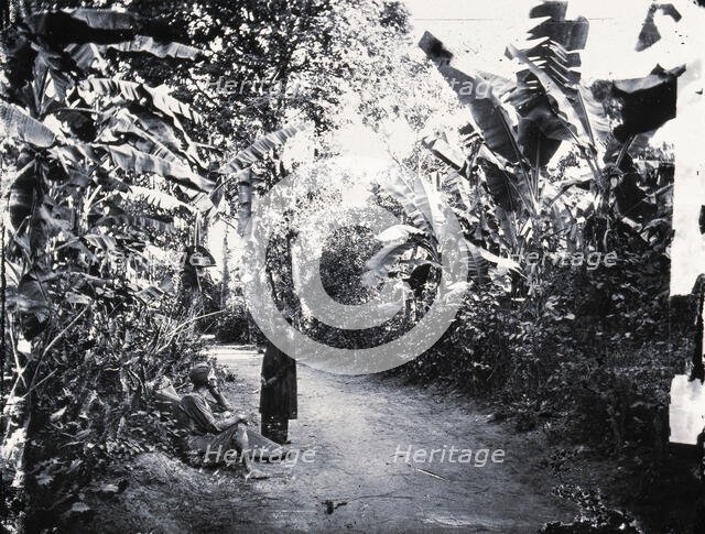 Cochin China [Vietnam], 1867, (1981). Creator: Unknown.