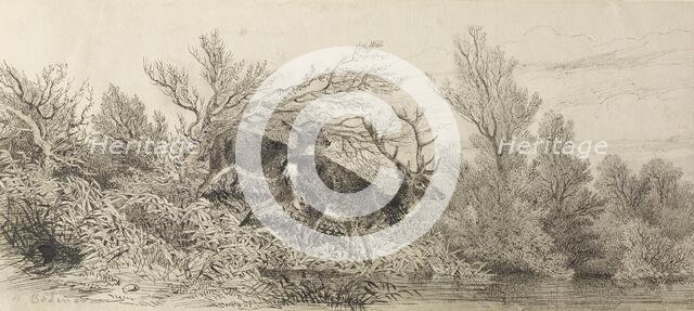 Stag In The Woods, 19th century. Creator: Karl Bodmer.