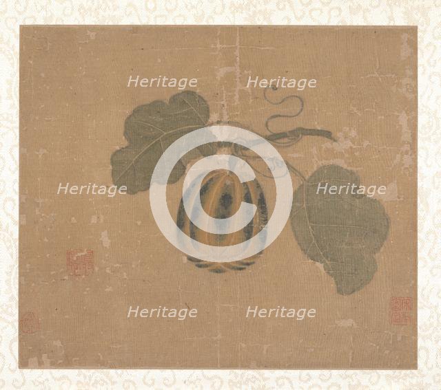 Squash. Creator: Unknown.