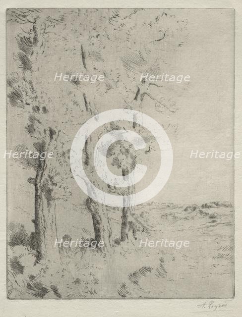 The Reader: The Lecture under the Trees, c. 1882. Creator: Alphonse Legros (French, 1837-1911).