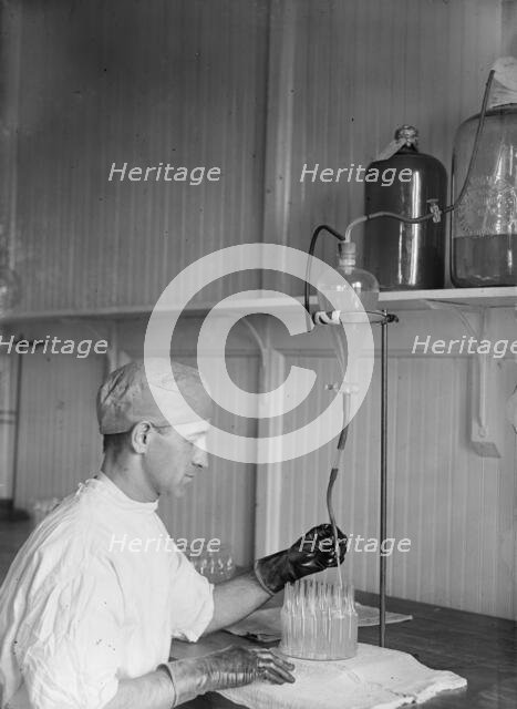 Army, U.S. Army Medical School; Typhoid Vaccine, 1917. Creator: Harris & Ewing.