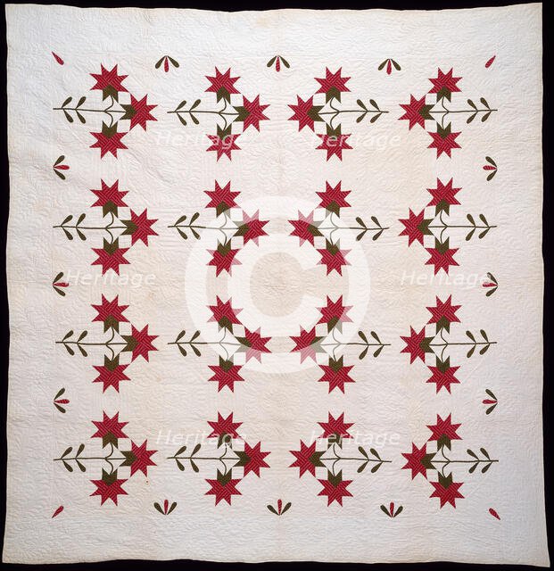 Bedcover (North Carolina Lily Quilt), United States, c.1850. Creator: Unknown.