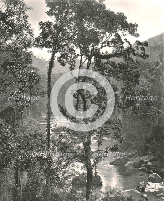 View of the Kelani River, Kurunegala, Ceylon, 1895. Creator: W & S Ltd.