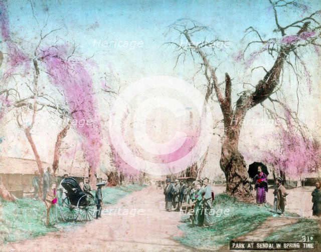 A park in springtime, Sendai, Miyagi Prefecture, Japan. Artist: Unknown