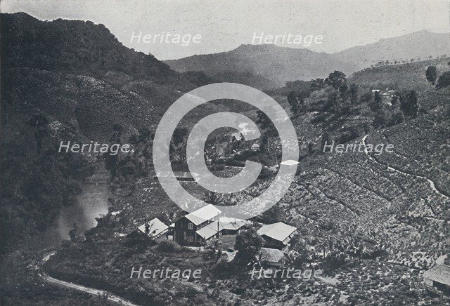 'Cingalese Tea Plantation', 1924. Artist: Unknown.