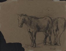 Horses. Creator: Alexandre Gabriel Decamps.