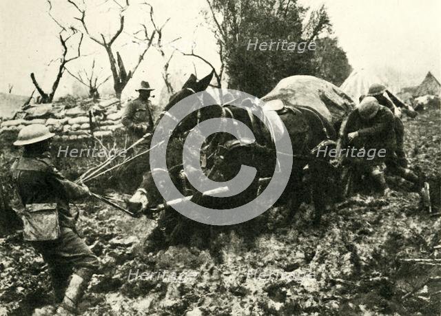 'Transport Difficulties in the Swamps of Flanders', First World War, 1917, (c1920). Creator: Unknown.