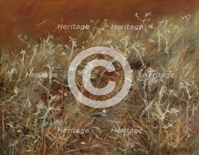 Thistles, 1883/89. Creator: John Singer Sargent.