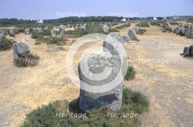 Carnac, Brittany Alignments at Menez, c20th century. Artist: CM Dixon.