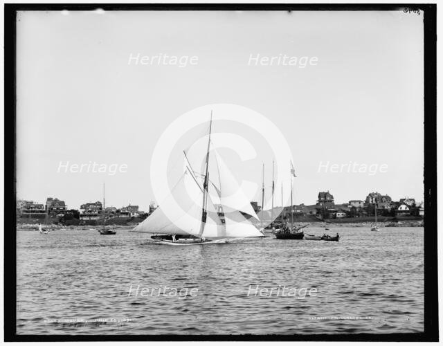 Mopsa, 1890 June 28. Creator: Unknown.