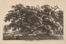 A Widely Expanding Oak Tree, 1825/1830. Creator: Carl Wilhelm Kolbe the elder.
