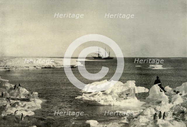 'The Nimrod Lying Off The Penguin Rookery', c1908, (1909).  Artist: Unknown.