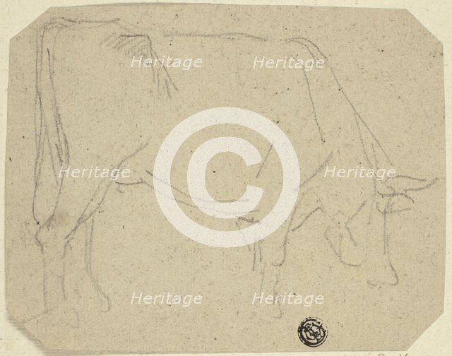 Grazing Cow (Turned to Right) (recto); Hindquarters of a Horse (verso), n.d. Creator: Unknown.