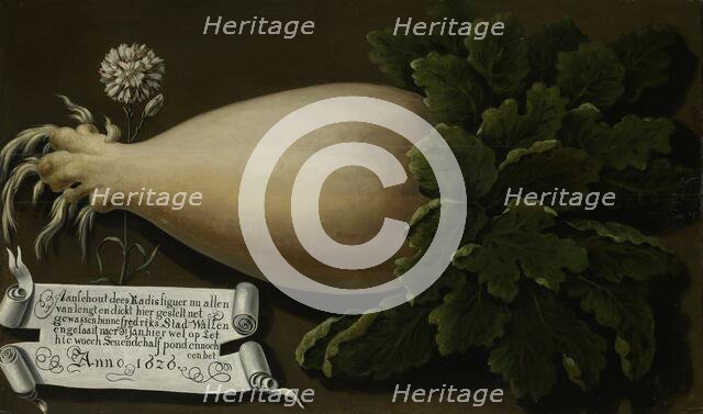 A Giant Radish, 1626. Creator: Anon.