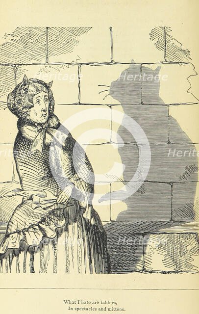 What I hate are tabbies, in spectacles and mittens, 1875.  Creator: Unknown.