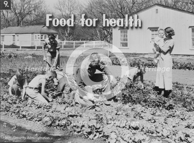 Homegrown food is homegrown wealth, 1936. Creator: Dorothea Lange.
