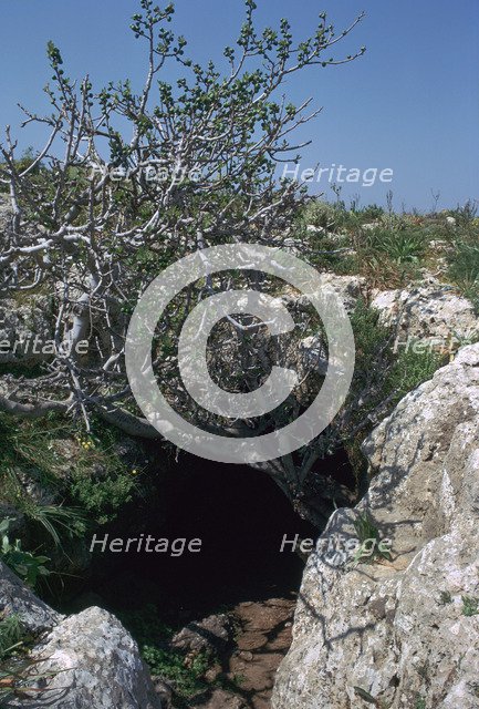 The Cave of Eileithyia. Artist: Unknown