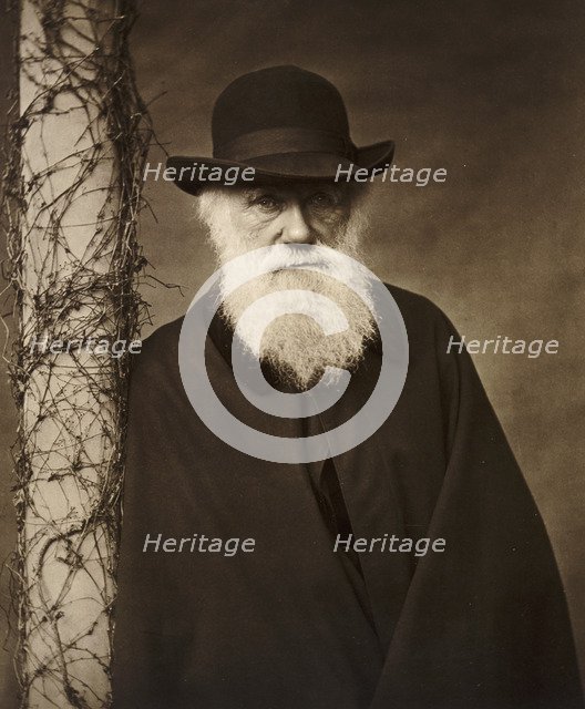 Charles Darwin at his home at Down House, Kent, c1880. Artist: Unknown