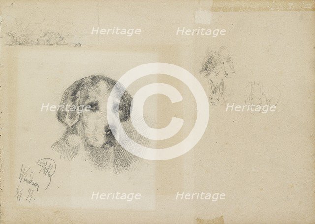 Portrait of a dog: Windsor, 1877. Artist: Rudolf Wimmer.