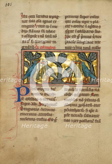 Two Pairs of Doves; De Natura Avium; De Pastoribus et Ovibus, 1277 or after. Creator: Unknown.