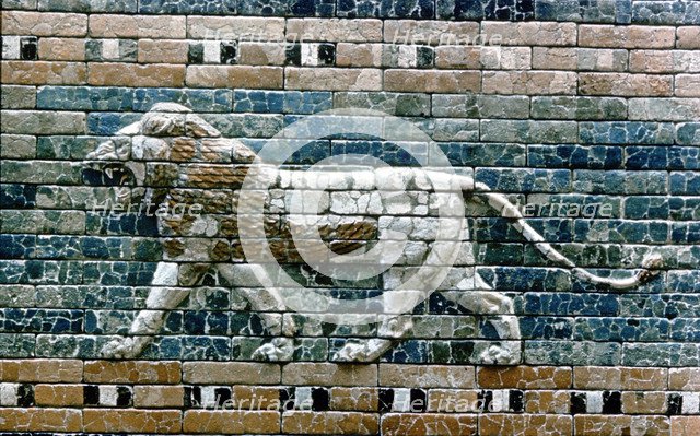 Lion passant from wall of the sacred way to the Ishtar Gate, Babylon (Iraq), c575 BC. Artist: Unknown