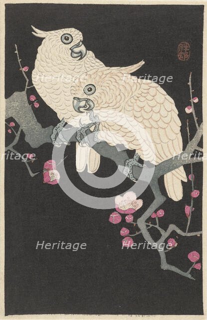 Two cockatoos on branch with plum blossom, 1925-1936. Creator: Ohara, Koson (1877-1945).