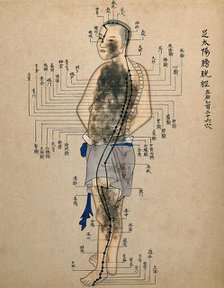 Acupuncture chart with a series of points indicated on the figure of a standing Chinese man. Creator: Unknown.