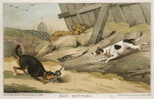 'Rat Hunting', 1823. Artist: Unknown