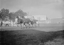 Horse Shows - E.T. Stotesbury Driving, 1910. Creator: Harris & Ewing.