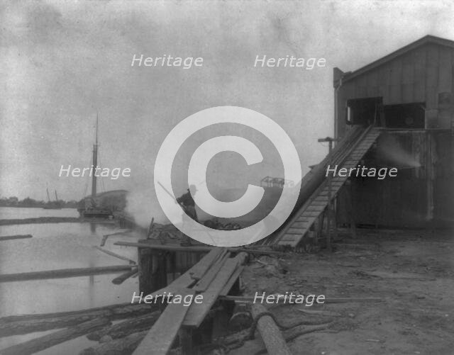African American guiding log from water onto saw mill ramp, Newport News, Va., 1900, 1899 or 1900. Creator: Frances Benjamin Johnston.