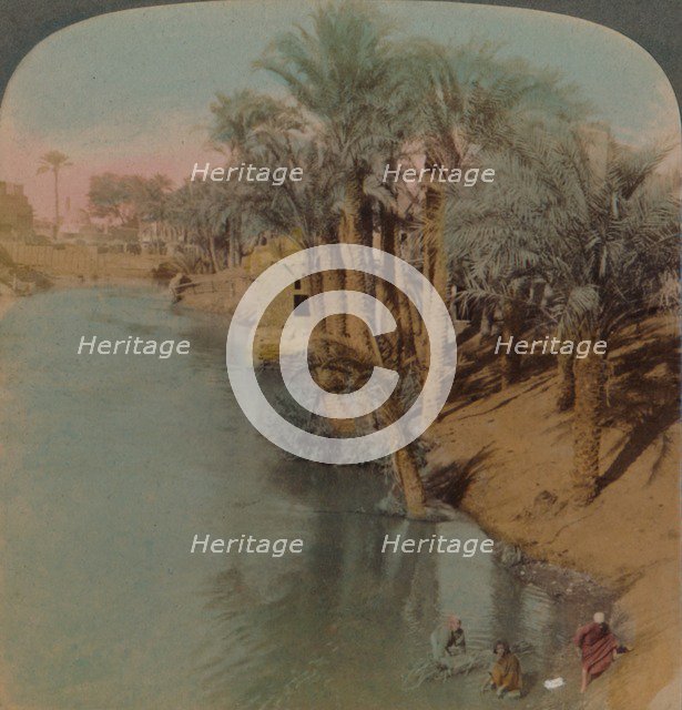 'In the Fayum, the richest Oasis in Egypt on Bahr Yussef (River Joseph), to the Nile', 1902. Artists: Elmer Underwood, Bert Elias Underwood.