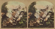 Fowl & game, about 1860. Creator: London Stereoscopic & Photographic Co.