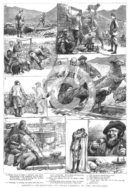 ''Brown's Experiences of Sheep - Farming in the Highlands', 1890. Creator: Unknown.