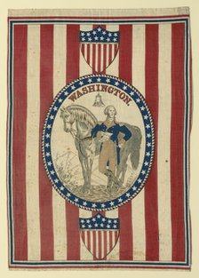 Panel (Furnishing Fabric), United States, c. 1876. Creator: Unknown.