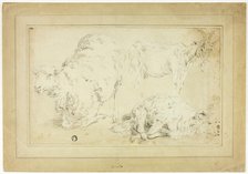 Sketches of Sheep and Goat, 18th century. Creator: Unknown.