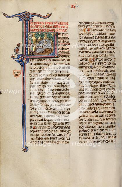 Initial L: A Shepherd with a Flock; Vidal Mayor, about 1290-1310. Creator: Unknown.