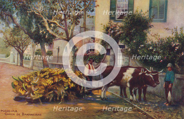 'Madeira - Carca De Bananeiras', c1940. Artist: Unknown.